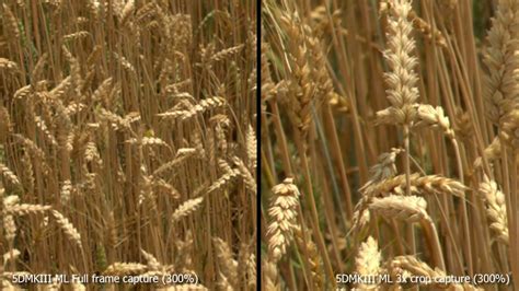 5DMKIII ML 3x Crop mode VS Full frame comparison .